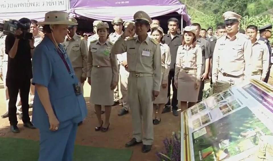 公主和国王简朴又亲民，公主像卖菜大婶，国王像民工大叔