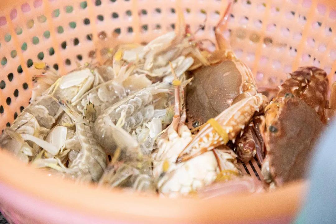 有了这座小县城，封海也封不住浙江人吃海鲜的嘴