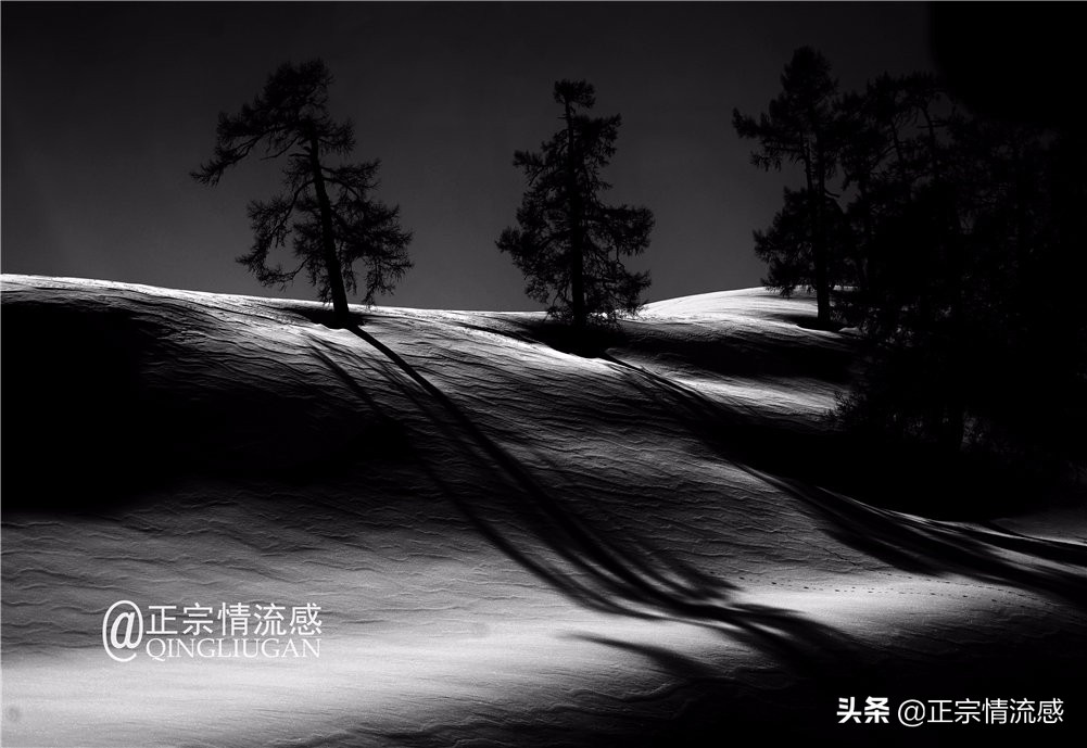 诗与远方：冬游喀纳斯