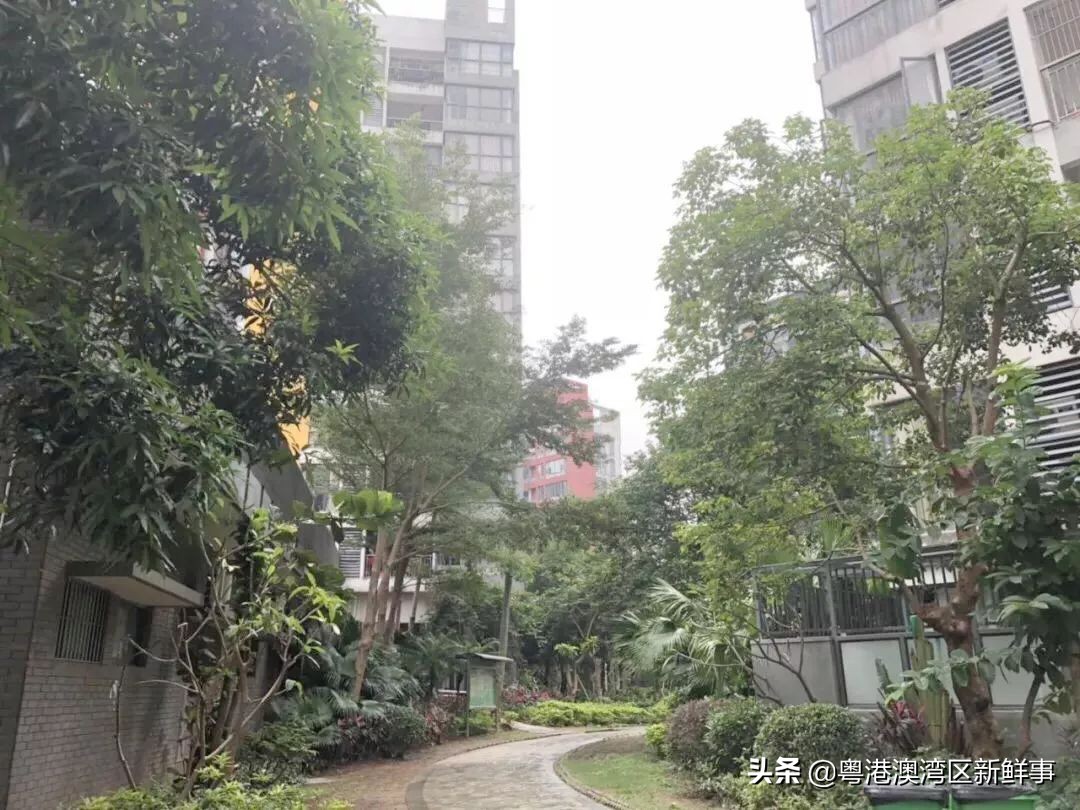 宀佹湀闈欏ソ澶氬Э澶氬僵,鑺辨牱骞村埆鏍峰煄娲嬫埧