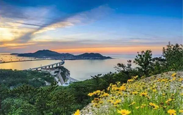 山东免费景区开放最新通知,山东景区门票免费政策有哪些