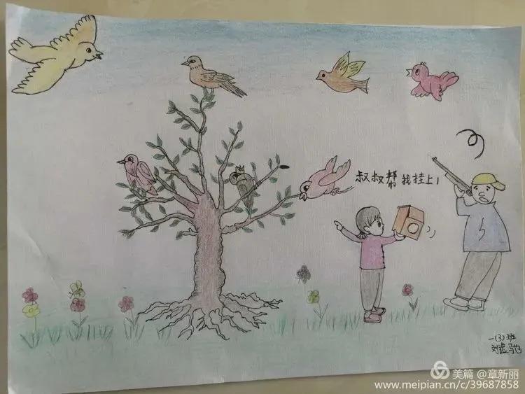 “同心呵护鸟类共建美好家园”建阳麻沙中心小学第38届爱鸟周活动