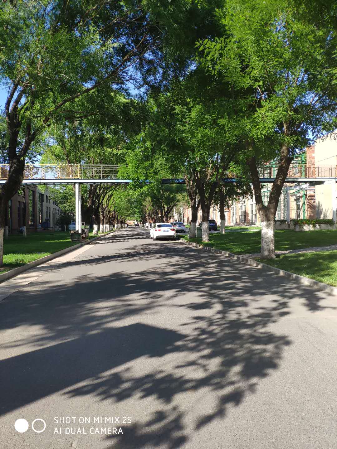 乐视辉煌的时候,乐视曾经有多厉害