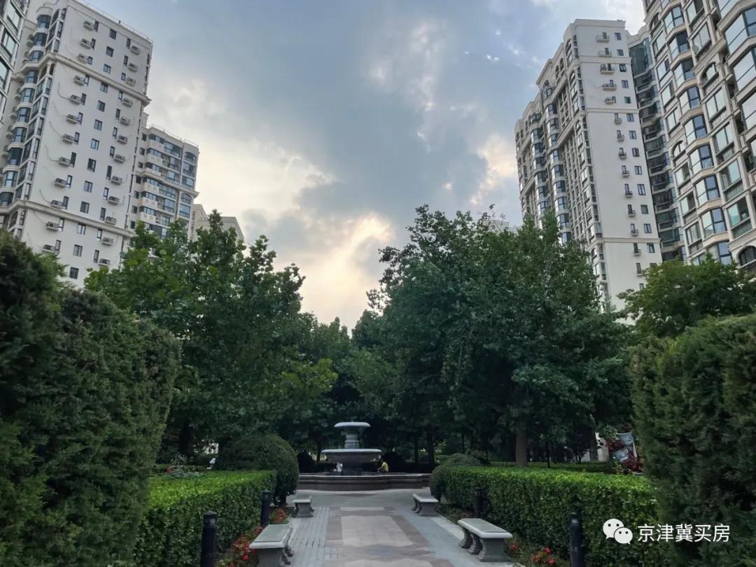 朝青2018年价格,朝青价格走势