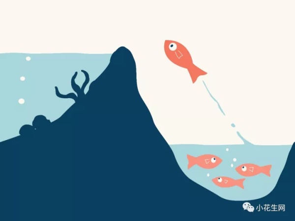 做大池塘,做大鱼池养乌龟和鱼