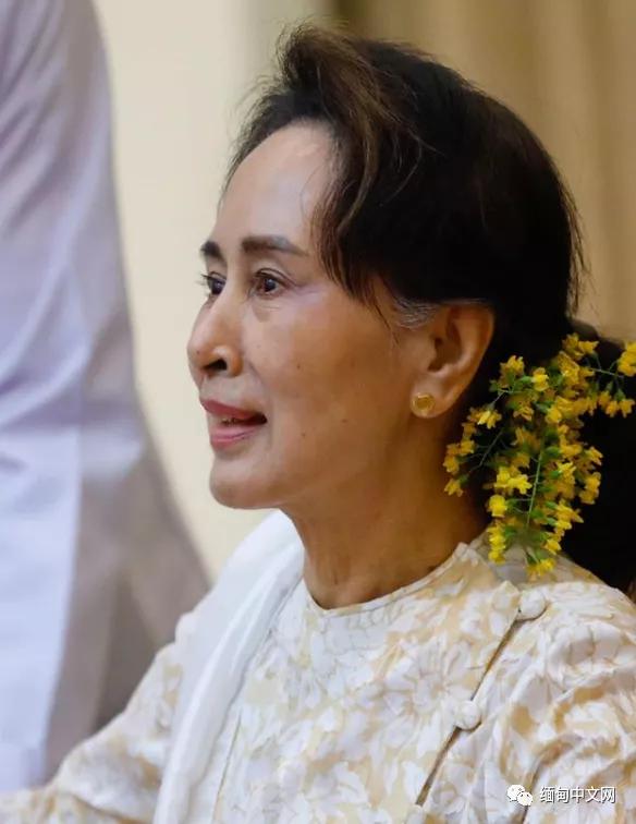 紫檀花开独一无二,紫檀花开了视频