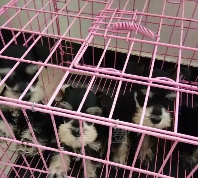 NO.844：阿克苏本地求职招聘、出租转让、农林牧副渔…信息大全