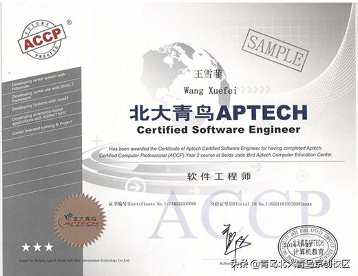 青岛北大青鸟专业怎样,青岛北大青鸟教育机构