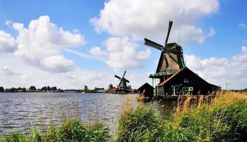 为什么中国叫“荷兰豆”，荷兰却叫“中国豆”，到底是谁叫错了