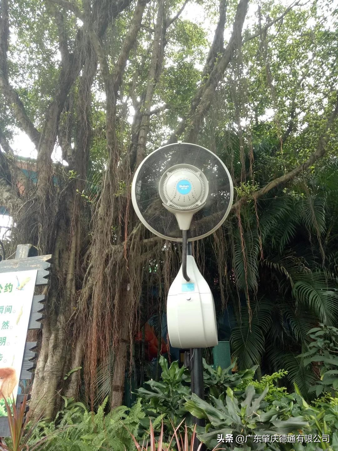 德通风扇-案例分享|广州长隆野生动物园加持德通雾化风扇