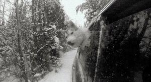 玉米地发现不明液体怎么办,玉米地发现的怪事