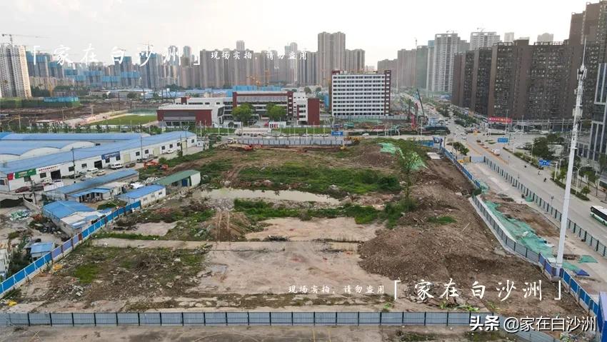 万科金色城市学区划分,万科金色城市周边学校