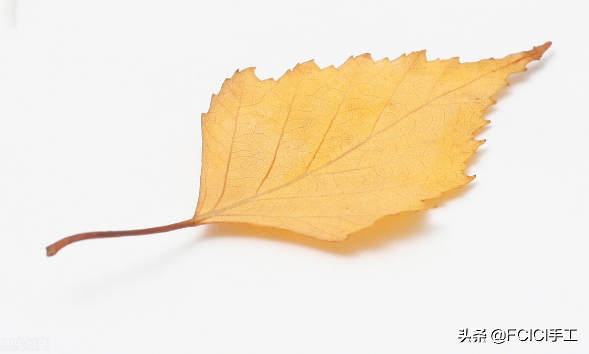 落叶手工作品创意高级感图片,落叶主题创意手工