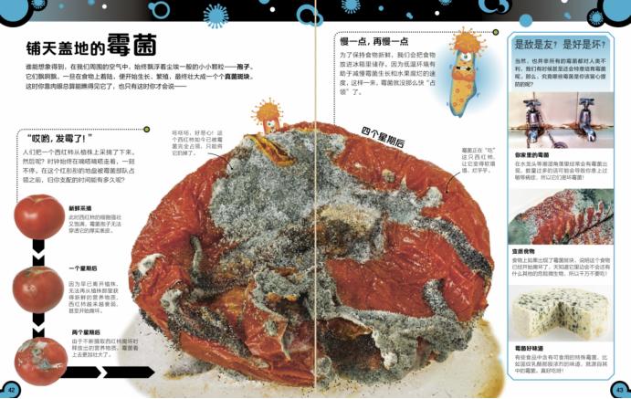 微生物绘本教程,微生物大百科故事绘本