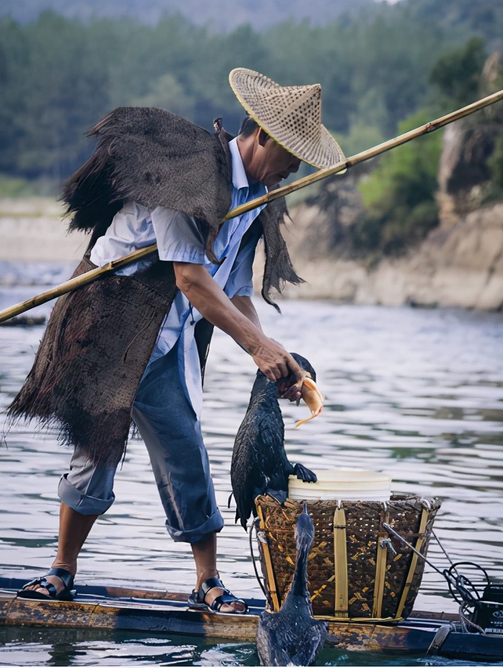 永嘉楠溪江民宿推荐,永嘉楠溪江民宿推荐10人左右整栋