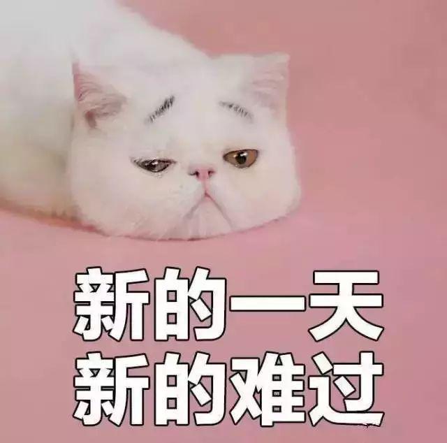 没有妇科病可以妇科检查吗,女性有必要定期做妇科检查吗