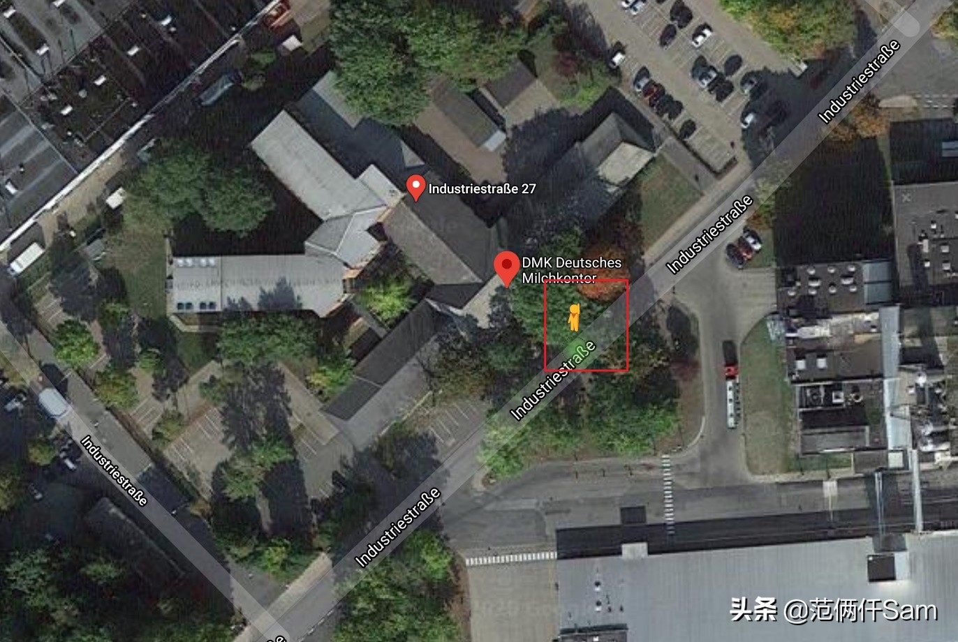 进口假奶粉怎么鉴别,如何鉴别真假原装进口牛奶