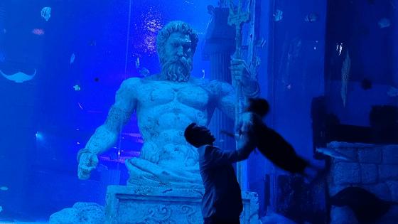 开启非凡住宿万豪旅享家,万豪旅享家邂逅城市五星级酒店