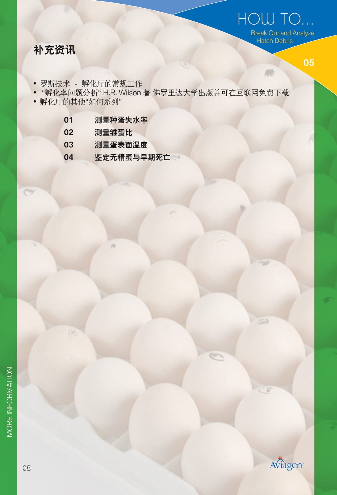 毛蛋做实蛋方法,打蛋怎么做又滑又嫩没气泡