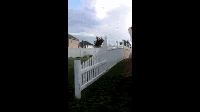 学日语被骂是活该吗,当你学日语被误会成汉奸