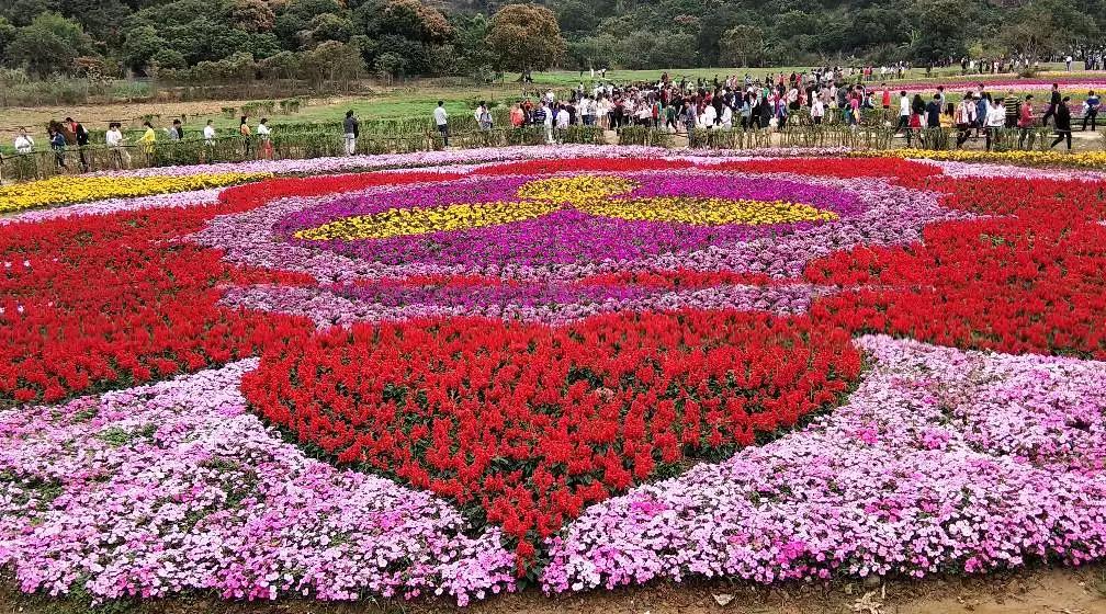 春暖花开的季节,春暖花开的季节歌名