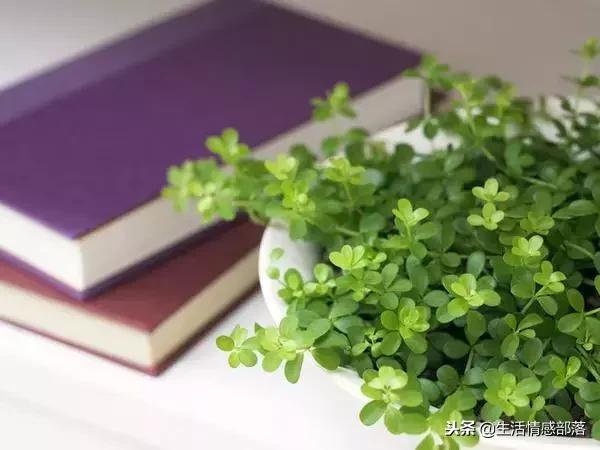 适合写心灵鸡汤的经典句子,男人心灵鸡汤句子精辟