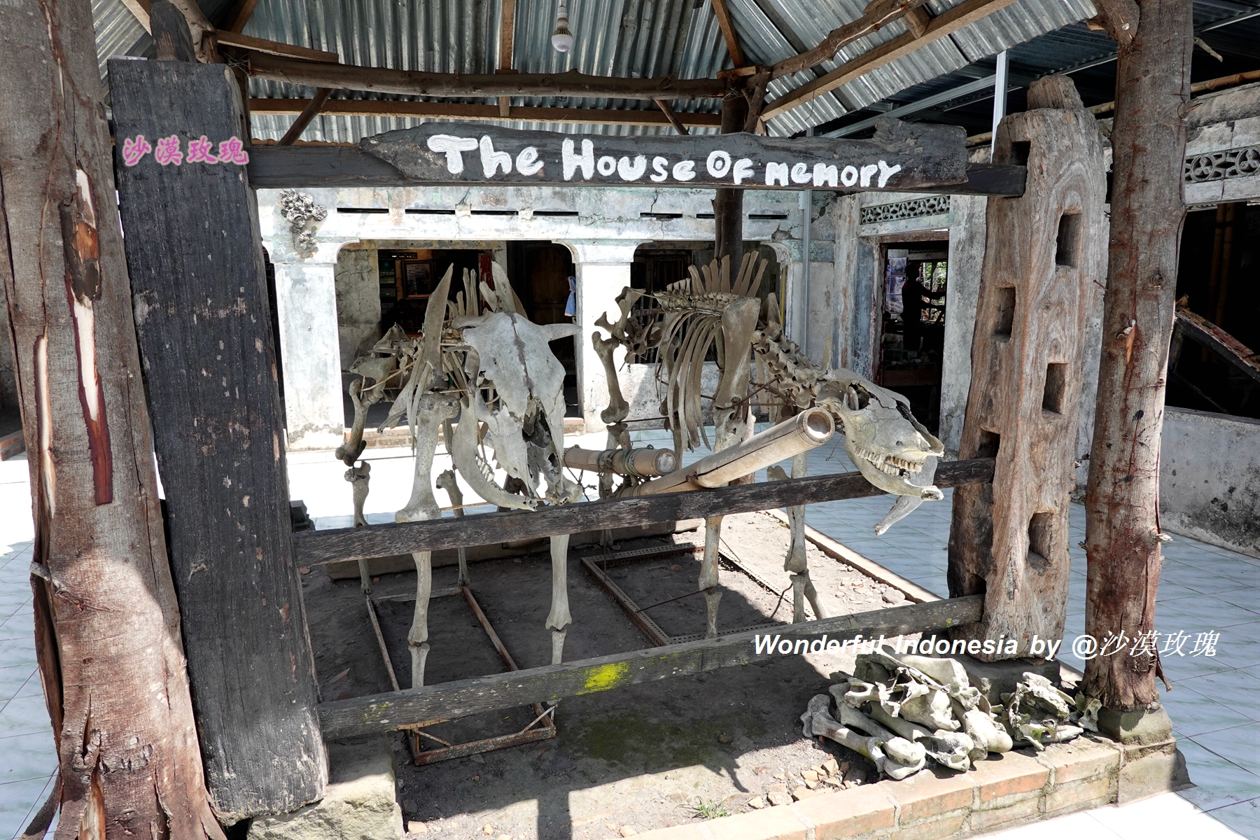 印尼跟团游深度探索当地人文风情,印尼朝圣之旅