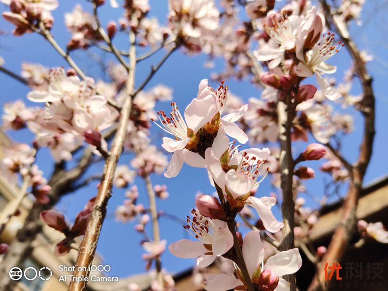 iqoo手机性能发挥到极致,最值得买的全新iqoo手机