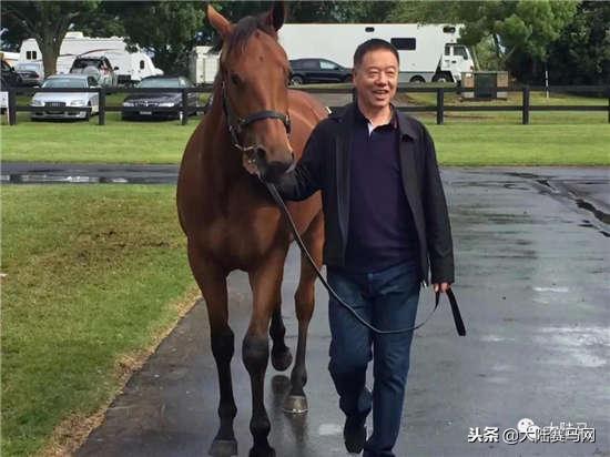 “感受到主人的感觉！”莱德马业中国马主团畅谈新西兰拍卖会
