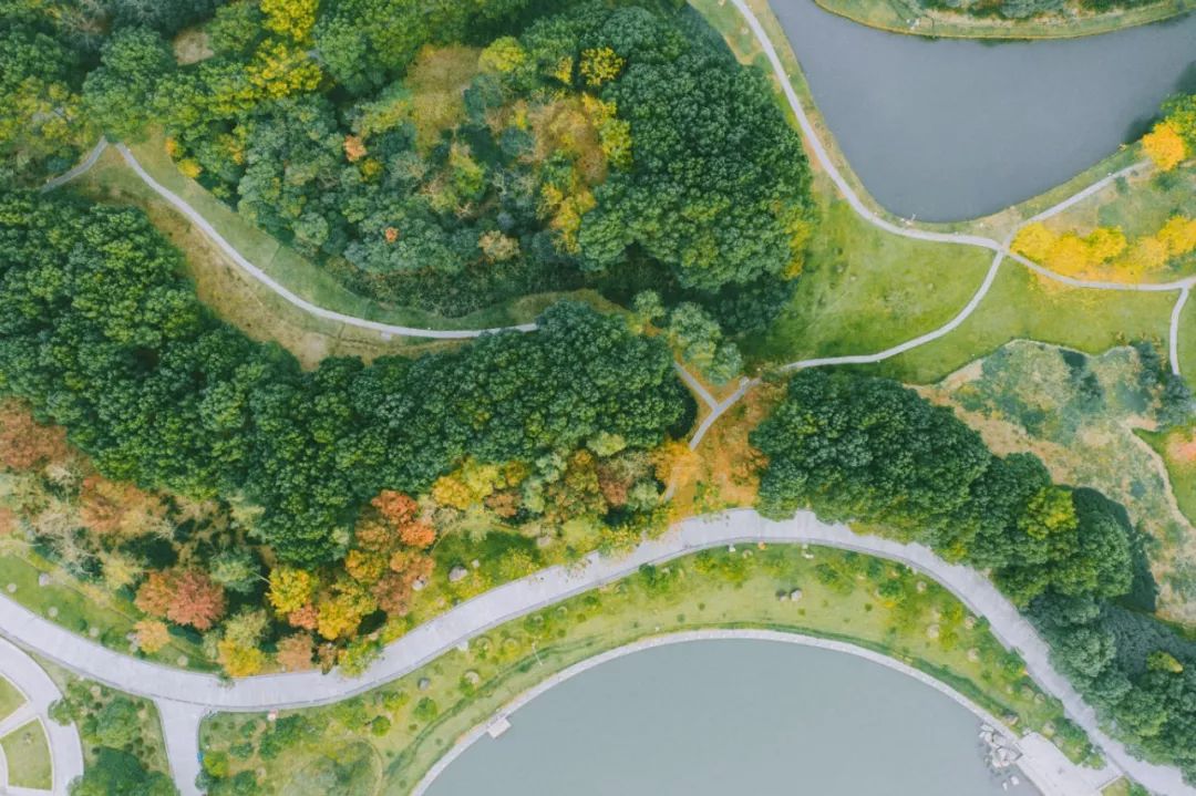 你一定没见过这样的新中式,东方绿舟特点