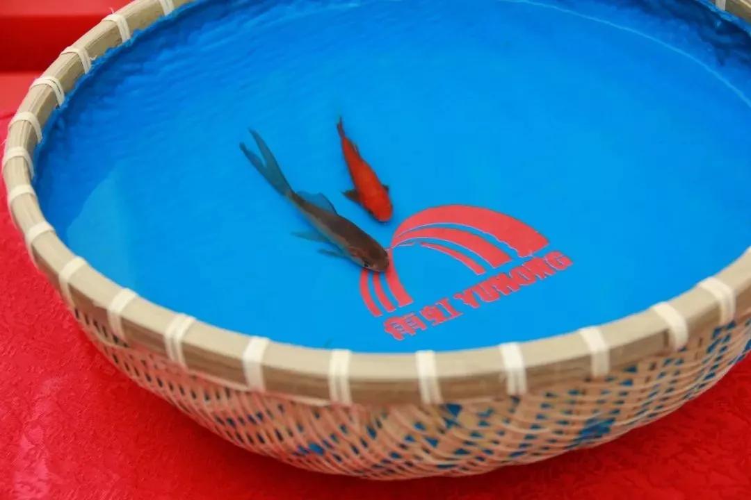 防水涂料沉底是劣质产品吗,防水材料中毒事件