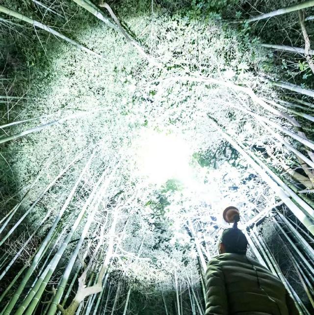 新型弹弓手电推荐,户外弹弓手电一体