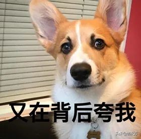 玻璃咖啡壶制作,玻璃滴滤式咖啡壶