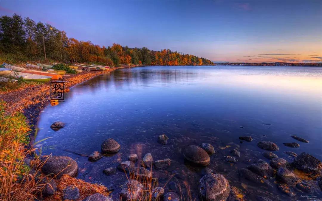 当代美诗都在此！和尚诗壁（76）回望当年牵手处，而今唯有落花新