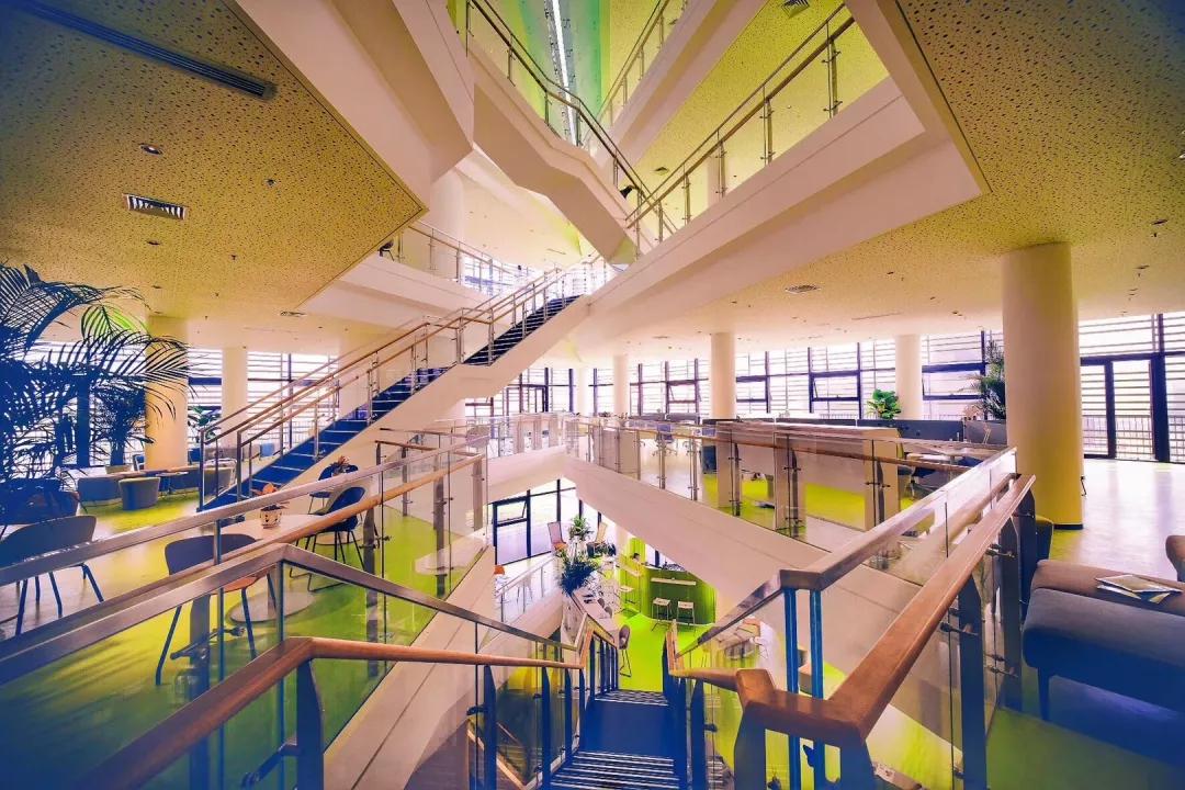 西安交大和米兰理工大学,终于等到你大学版