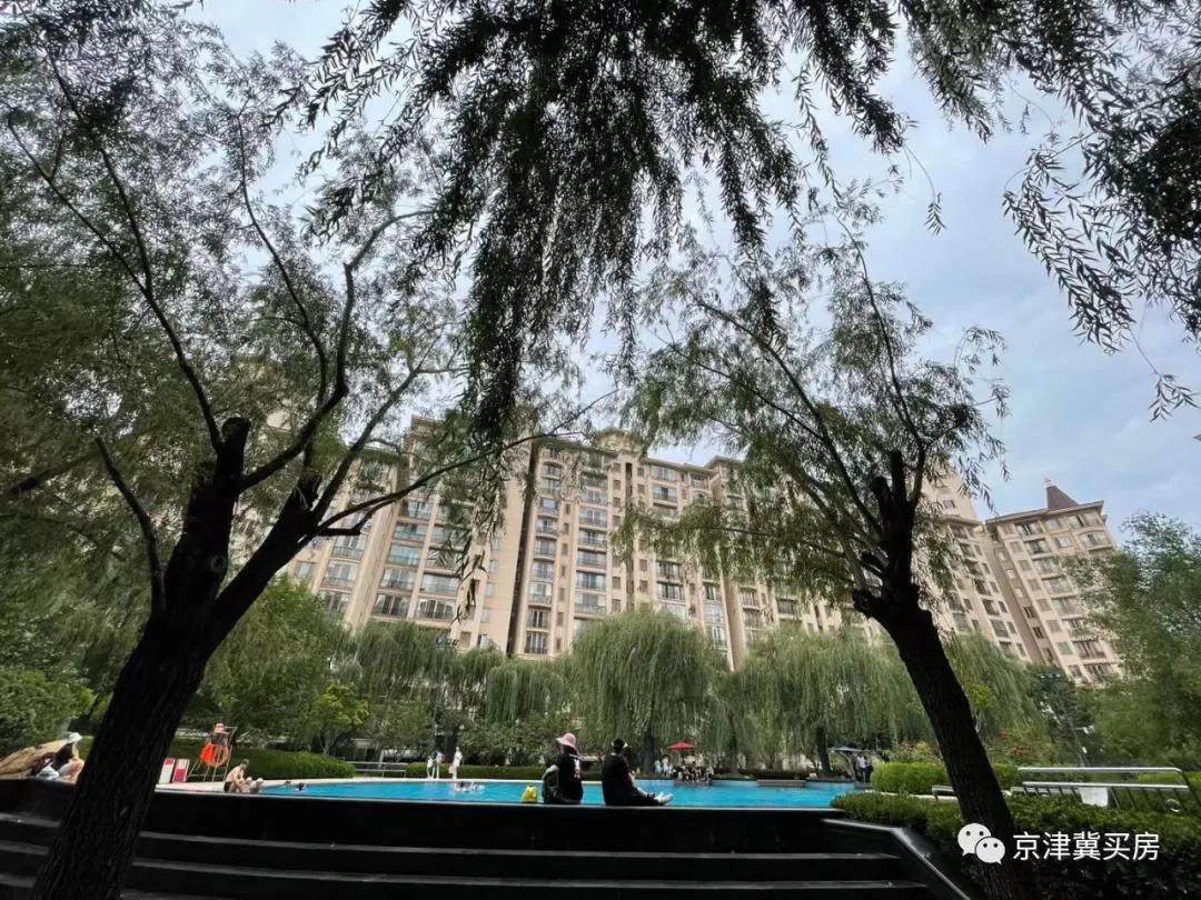 朝青2018年价格,朝青价格走势