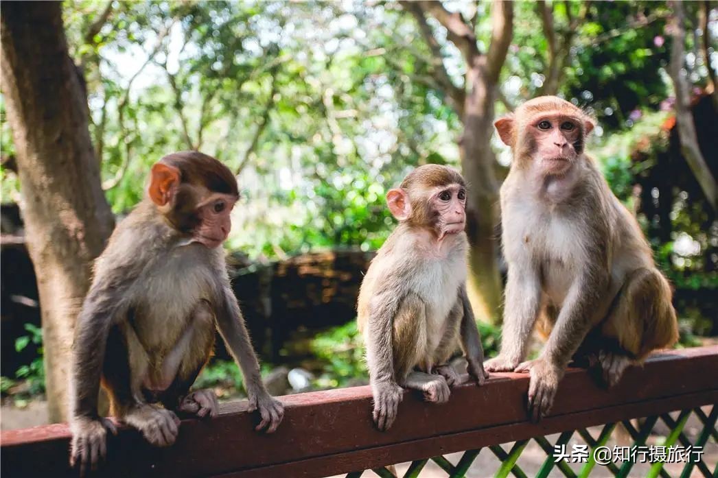 海南环岛自驾游免费景点,海南环岛自驾游游玩攻略
