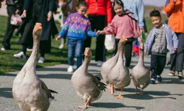 2023年三寰牧场最新攻略,三寰牧场攻略最新