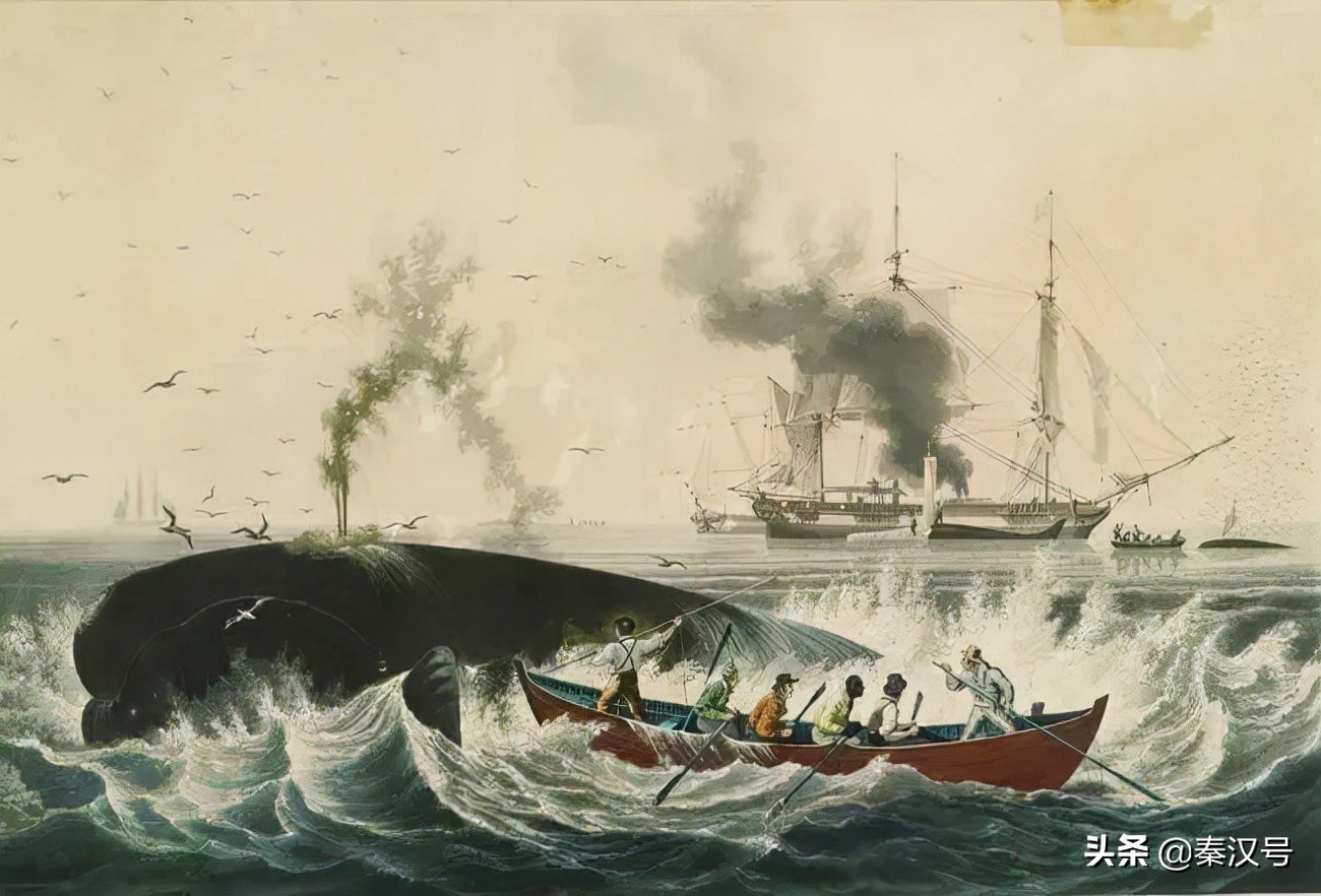 沙皇贱卖阿拉斯加有什么协议,俄罗斯卖掉阿拉斯加的原因