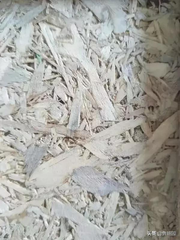 赢在起跑线上的进口刨花板——不得不服气的五大优势！