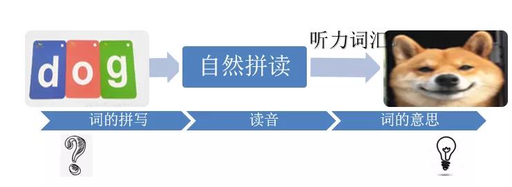 单词量少怎么迅速提高英语阅读,小孩不认识字怎么自主阅读