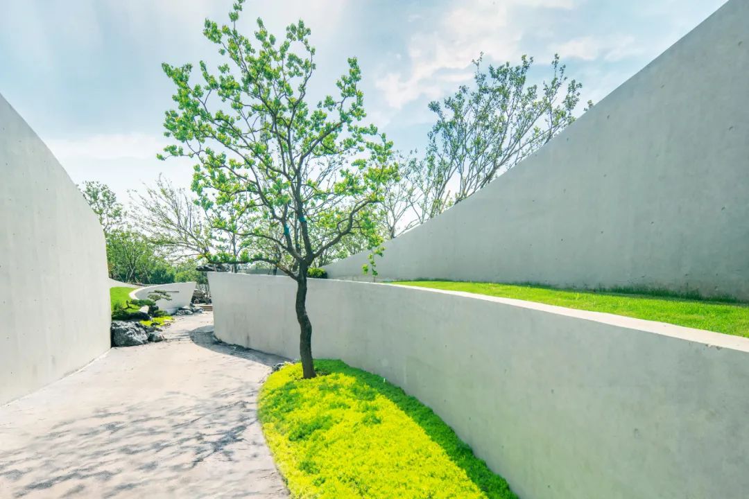 新区新建公园规划,主城区公园