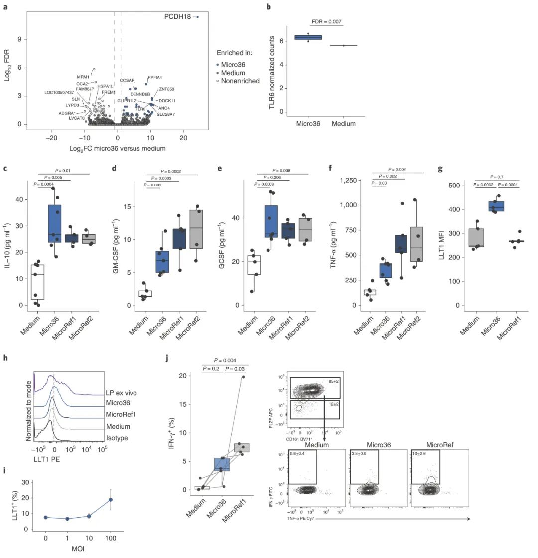 哪些菌可以在肠道定植,活菌在人体中可以存活吗