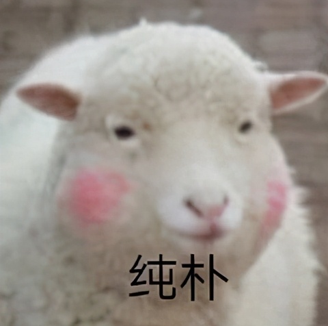 7款iphone超强app软件,苹果ios15.7手机小组件app推荐