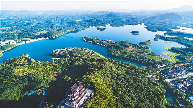 去海南猫冬,去海南猫冬的视频