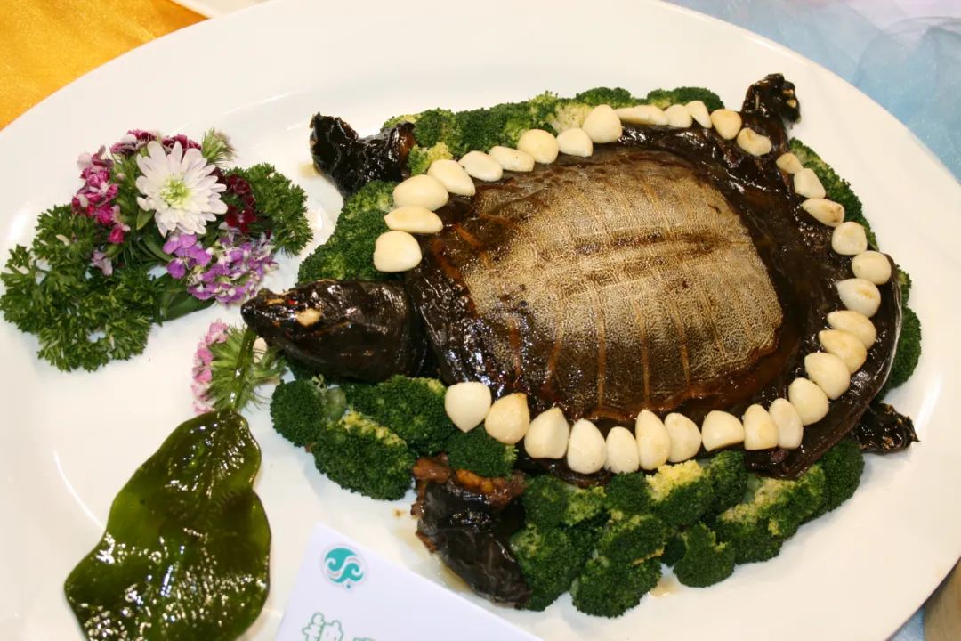 苏州精致生活,苏州人的精致都在一碗面里