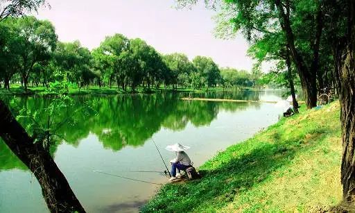 全国十大名茶旅游地,中国十大茶旅