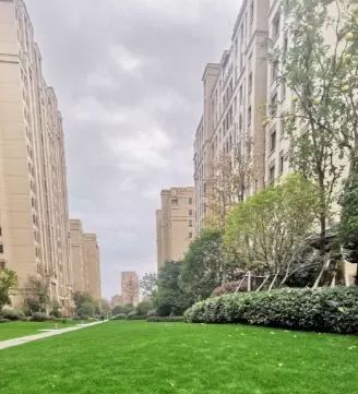 帝泊湾值不值得买,帝泊湾最低价