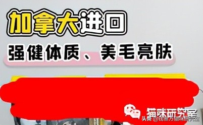 杩涘彛绮椋庨櫓闃叉帶鏂规,杩涘彛绮椋庨櫓绠℃帶
