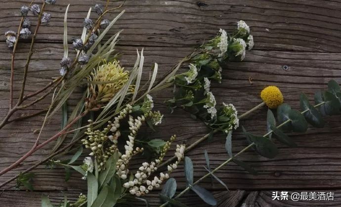 她放弃了总监职位后续,她辞去总监回家扶贫全集